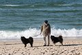 sylt (22)
